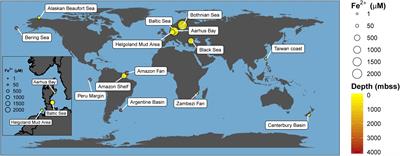 Rates and Microbial Players of Iron-Driven Anaerobic Oxidation of Methane in Methanic Marine Sediments